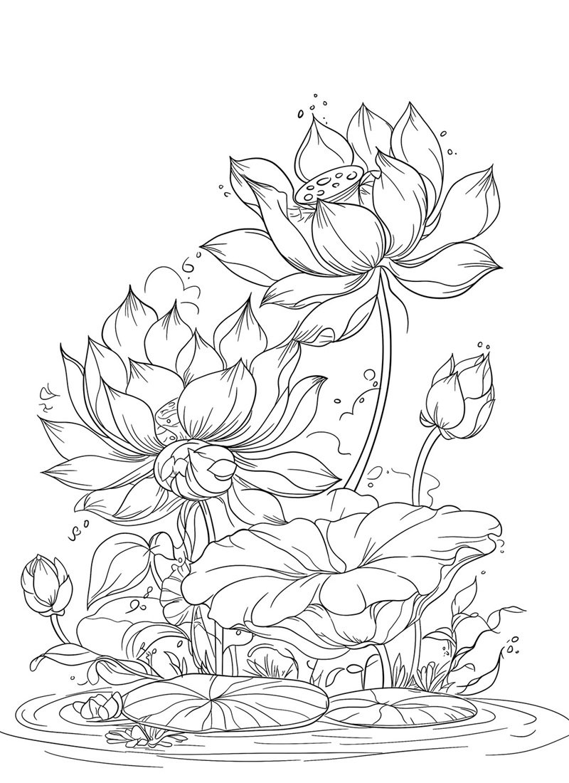 tranh tô màu cho bé 8-9 tuổi 5