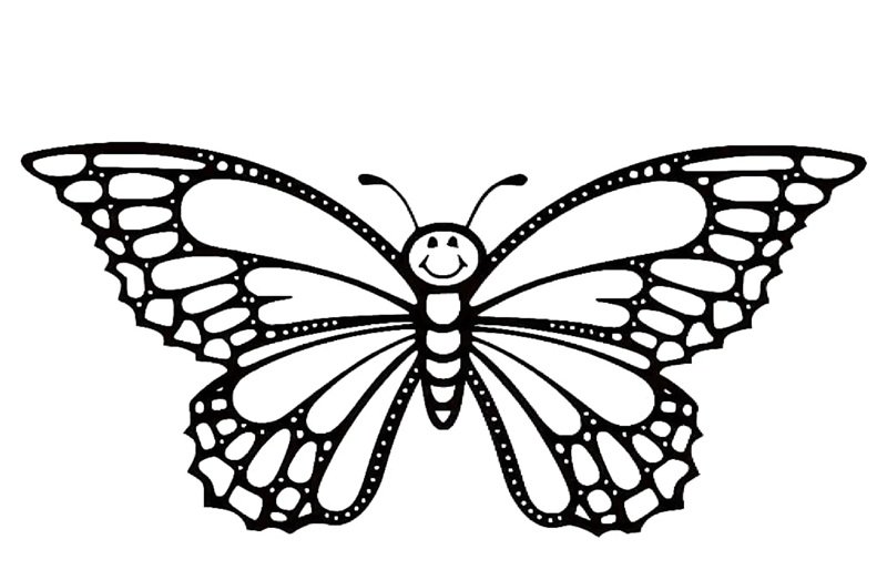 tranh tô màu con bướm 11
