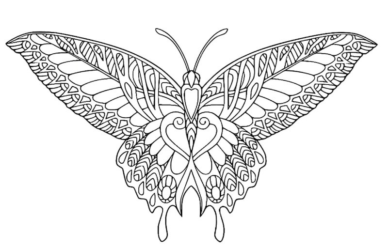 tranh tô màu con bướm 12