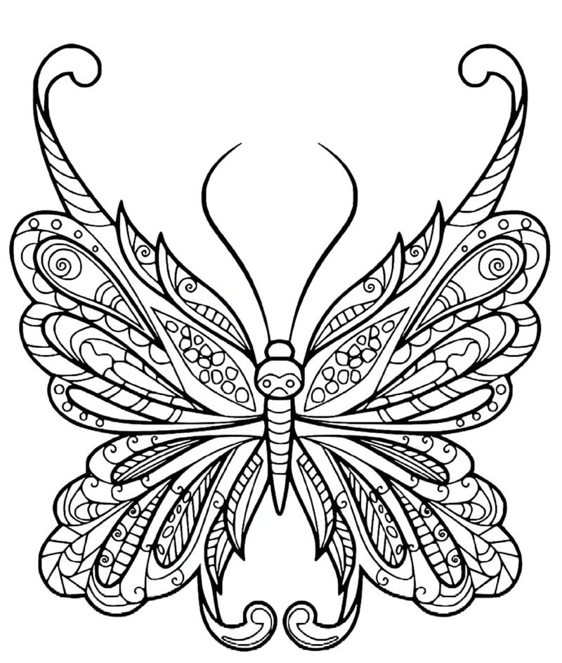 tranh tô màu con bướm 17