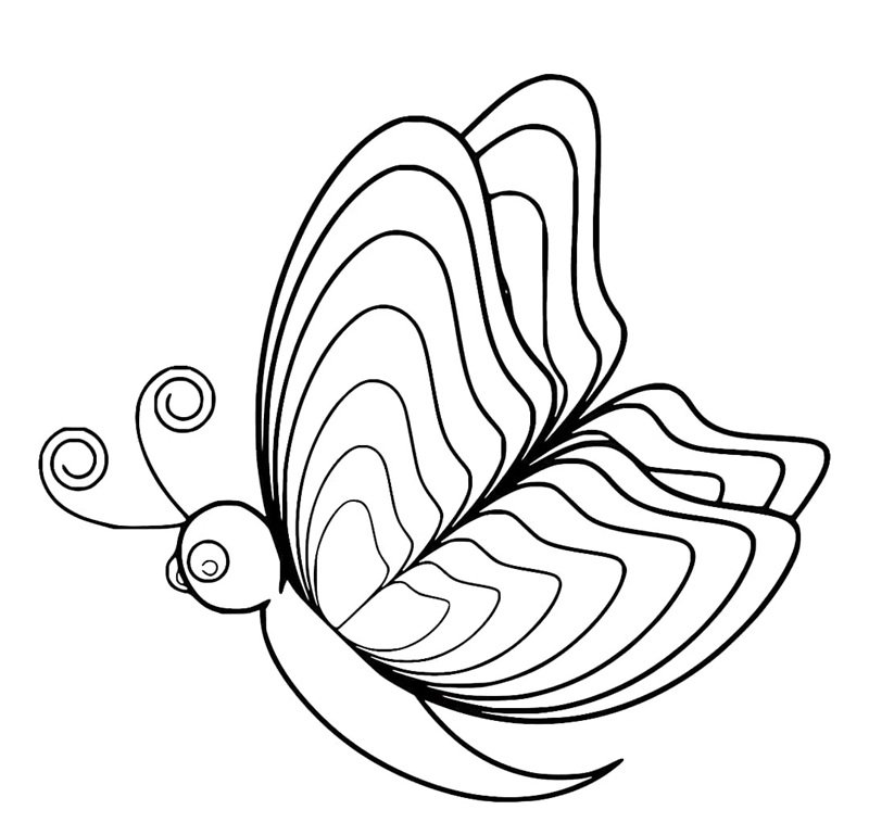 tranh tô màu con bướm 18