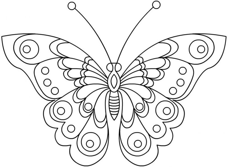 tranh tô màu con bướm 19