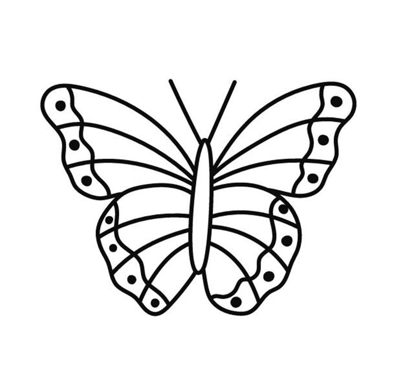 tranh tô màu con bướm 2