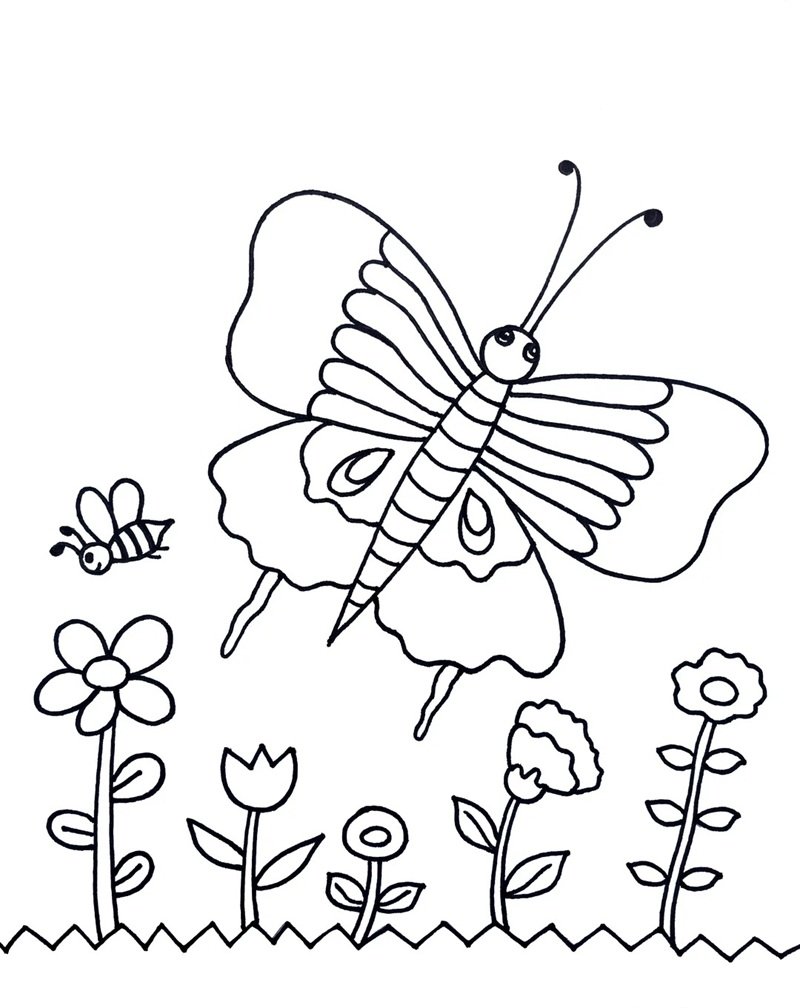 tranh tô màu con bướm 22