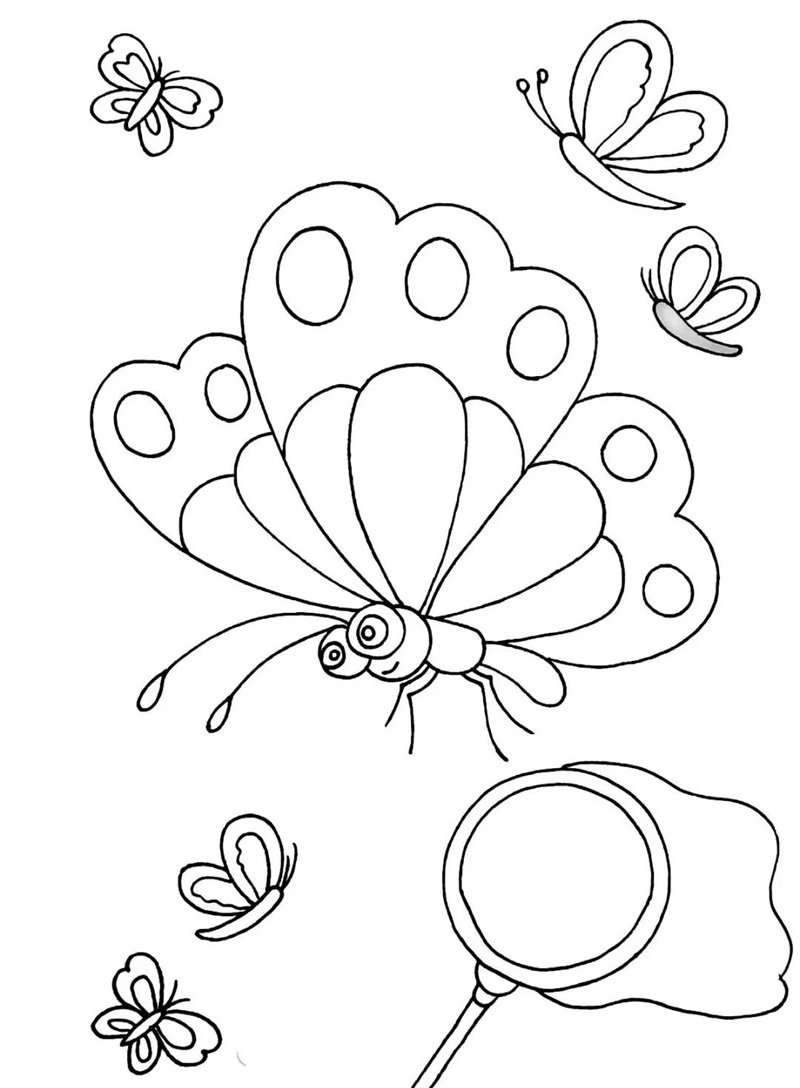 tranh tô màu con bướm 23