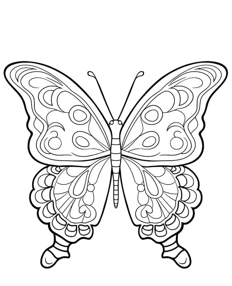 tranh tô màu con bướm 24