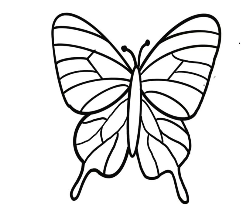 tranh tô màu con bướm 30