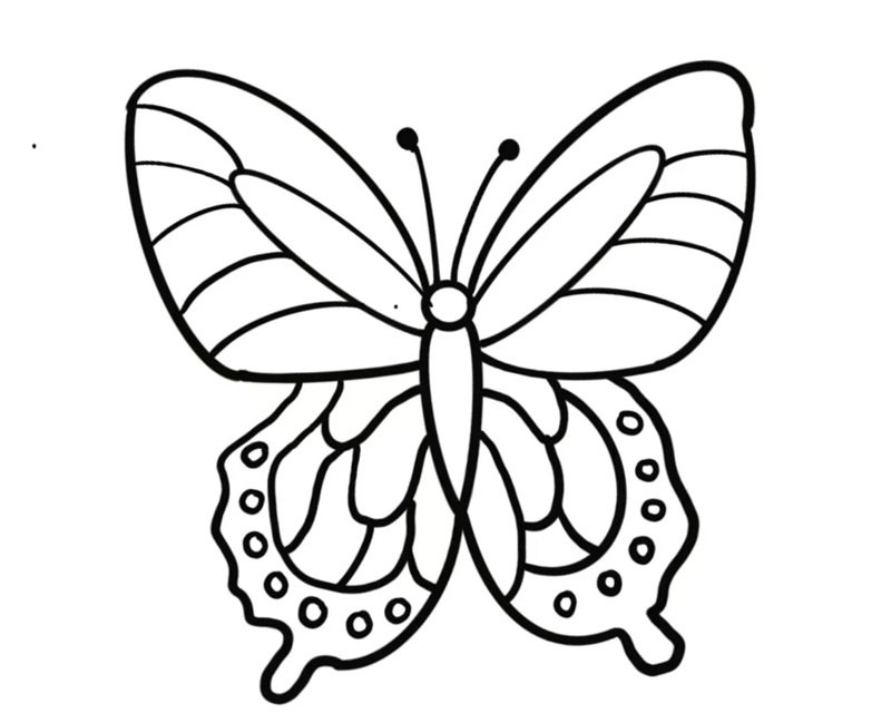 tranh tô màu con bướm 31