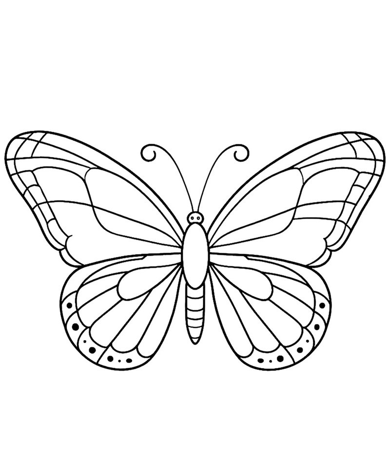 tranh tô màu con bướm 32