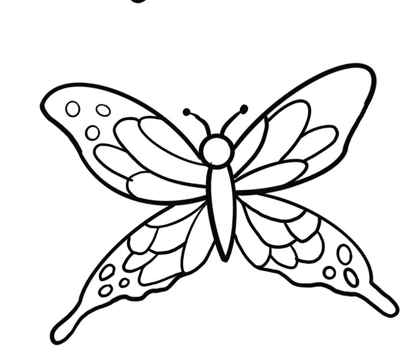 tranh tô màu con bướm 34