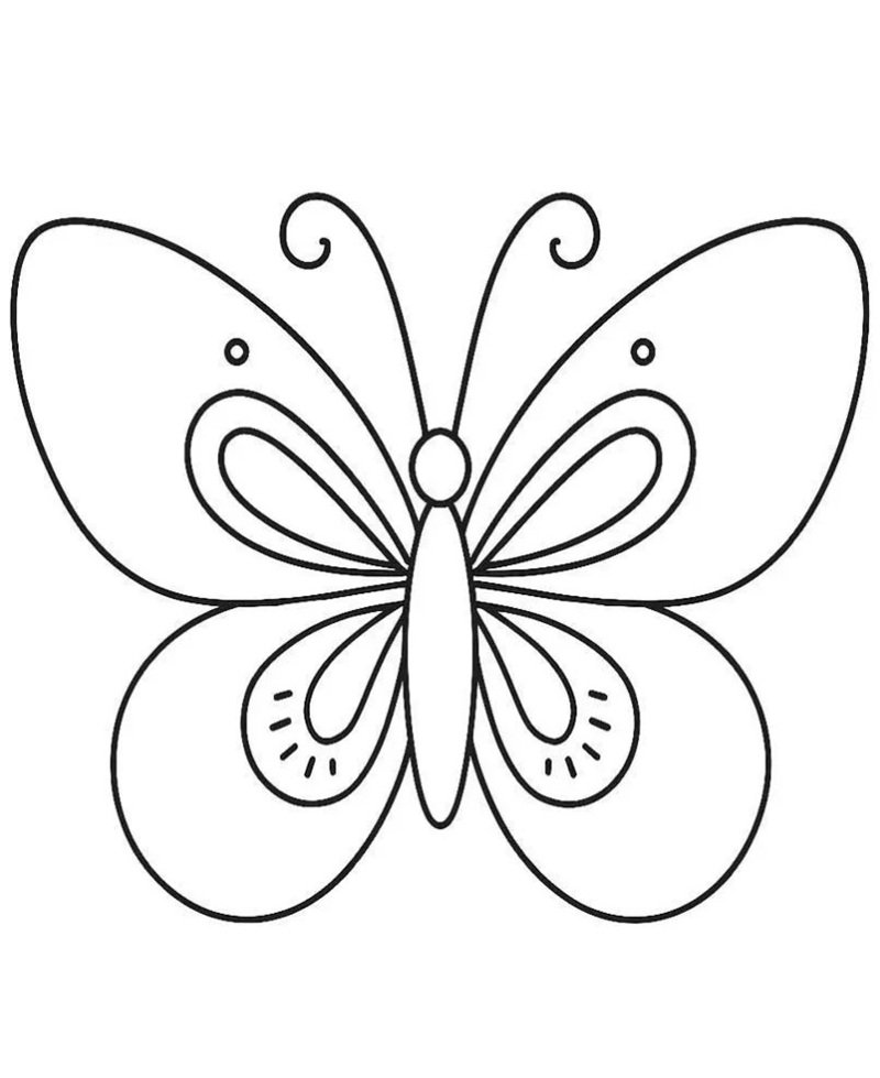 tranh tô màu con bướm 38