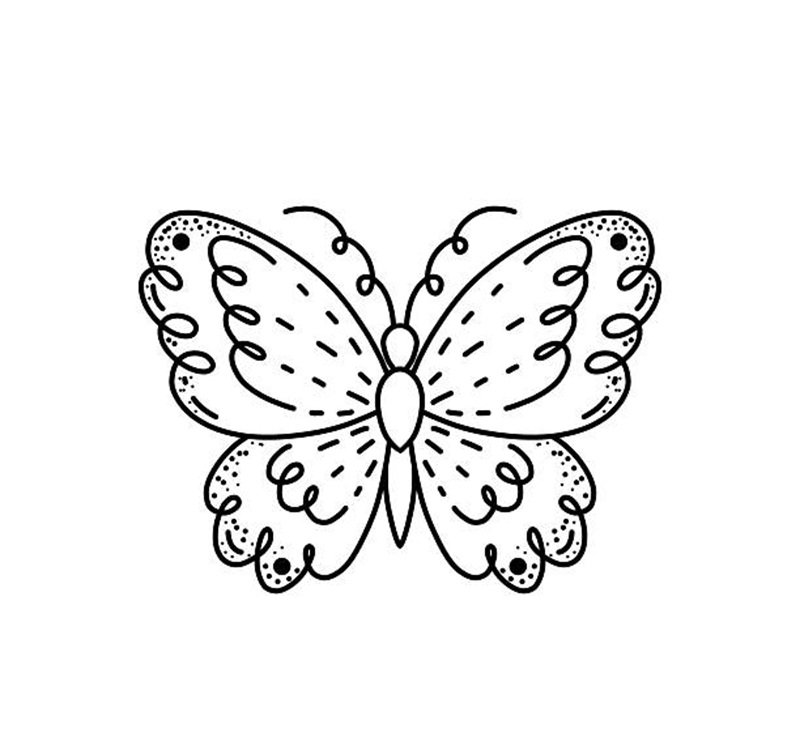 Butterfly in doodle style on white background