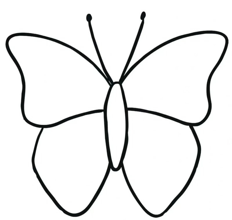 tranh tô màu con bướm 7