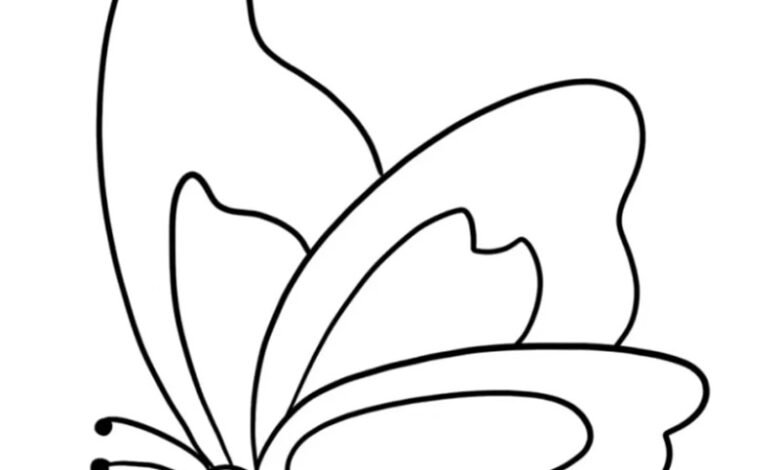 tranh tô màu con bướm 8