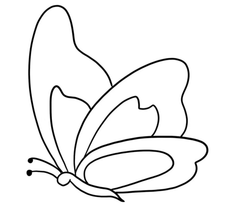 tranh tô màu con bướm 8