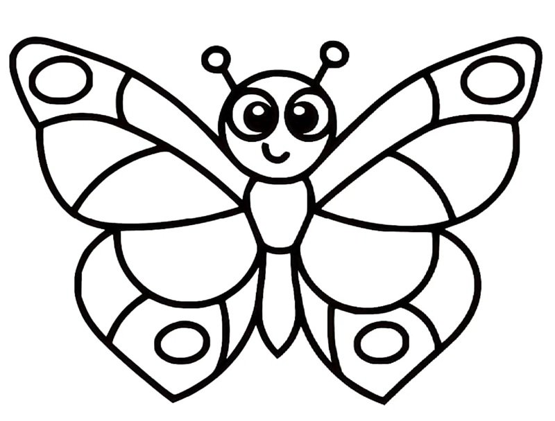 tranh tô màu con bướm 9