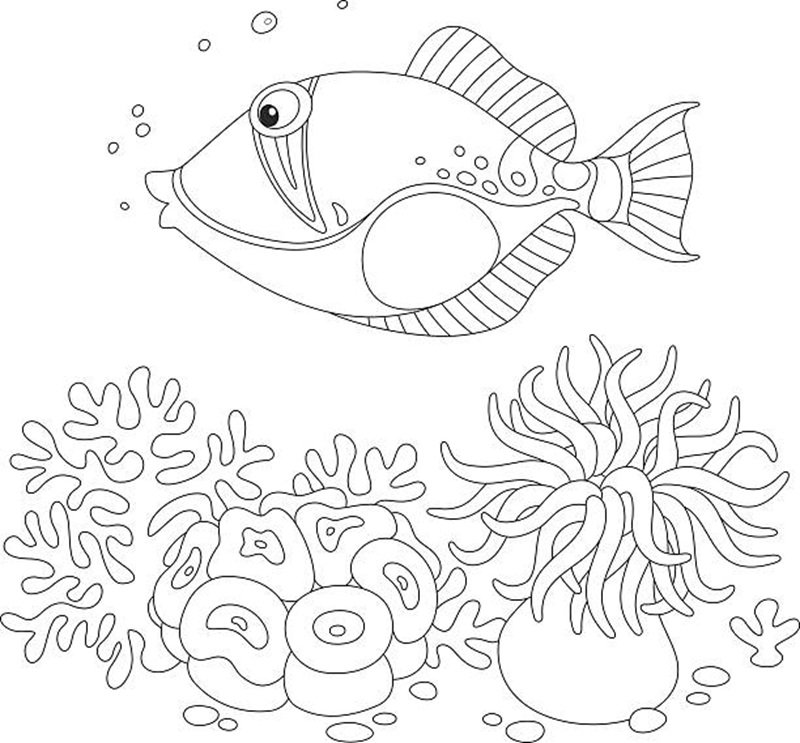 tranh tô màu con cá 15