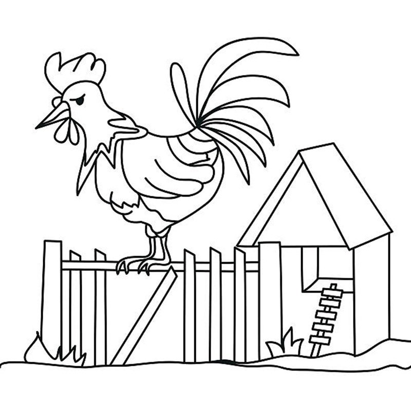 tranh tô màu con gà 14