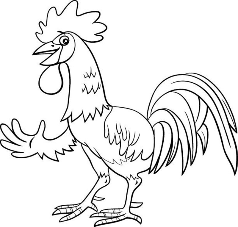 tranh tô màu con gà 2