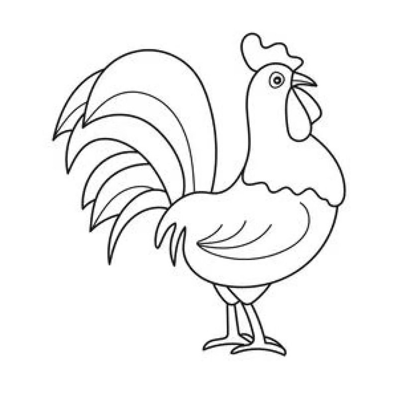 tranh tô màu con gà trống