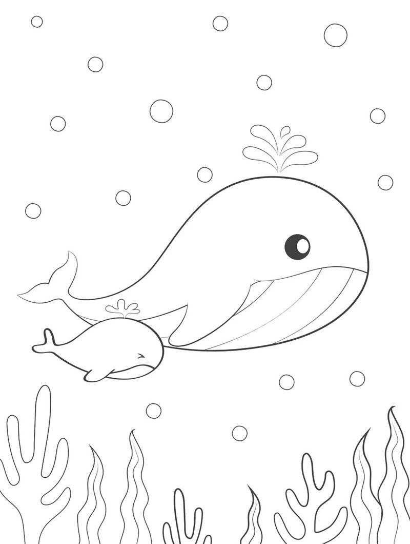 tranh tô màu con vật 12