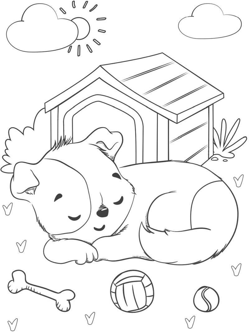 tranh tô màu con vật 13