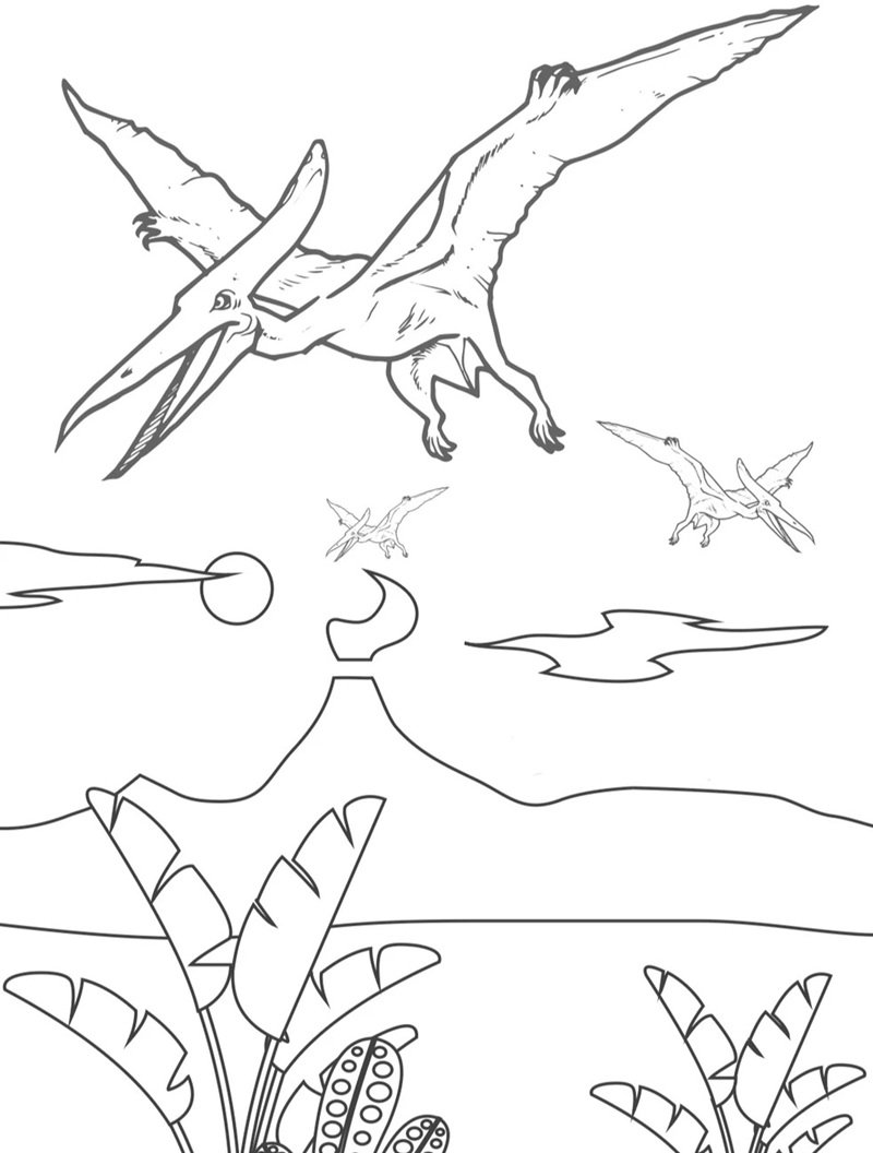 tranh tô màu con vật 19