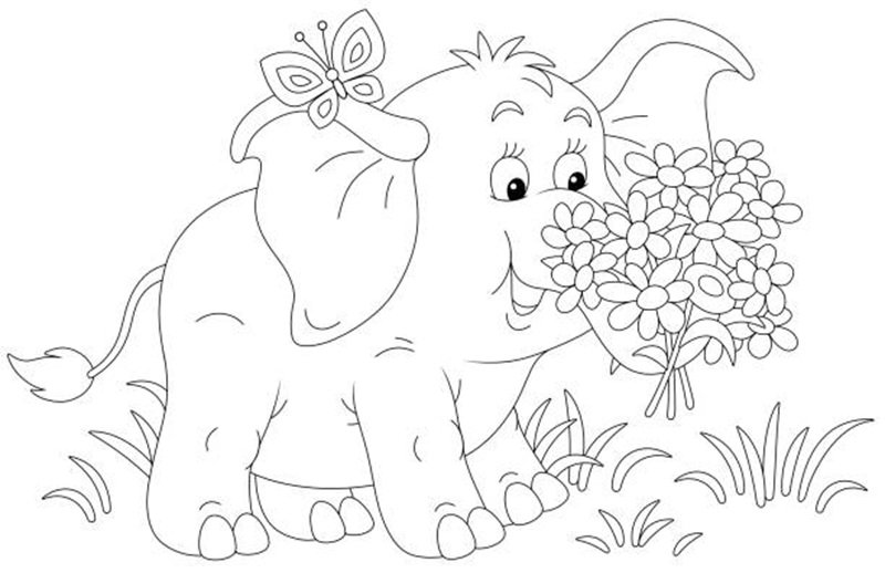 tranh tô màu con voi 14