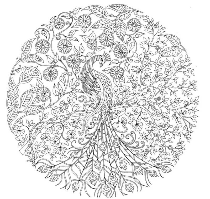 tranh tô màu nhiều chi tiết 15