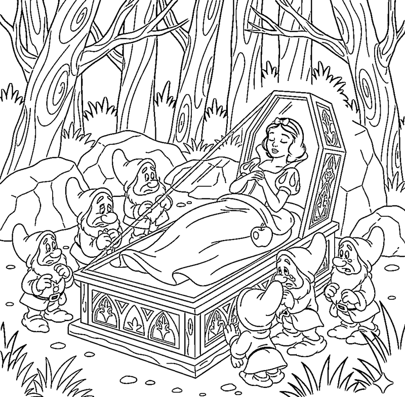 tô màu bạch tuyết 11