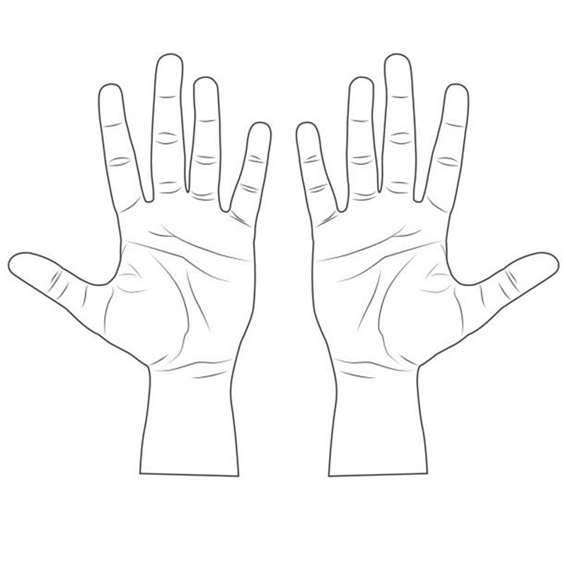 flat of the hand line vector illustration,isolated on white background,top view