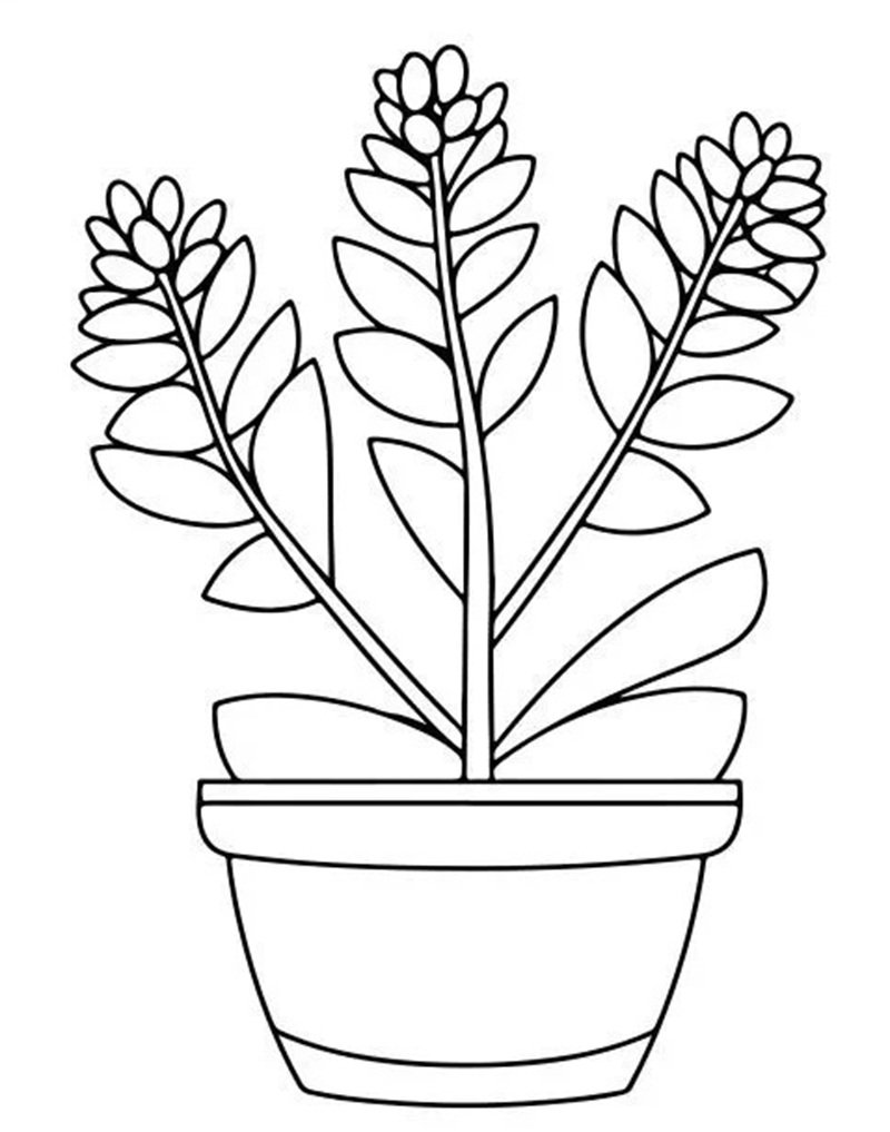 tô màu bình hoa 27
