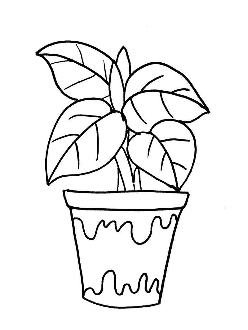 tô màu bình hoa 37