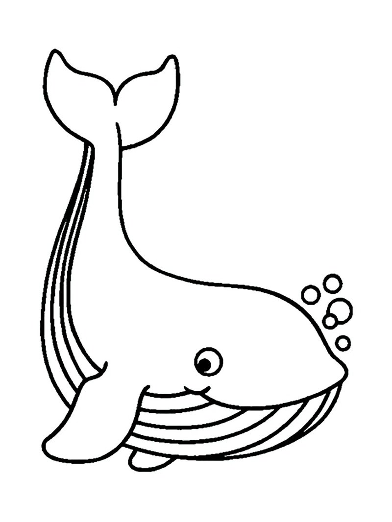 tô màu cá voi 1