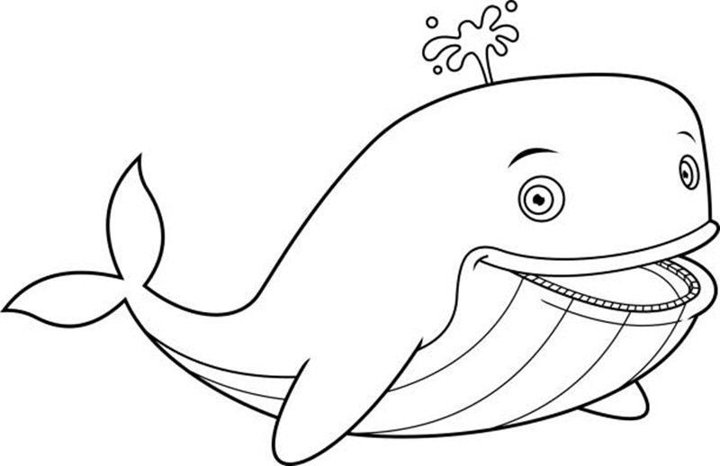 tô màu cá voi 13