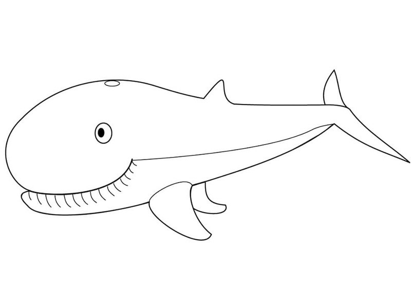 tô màu cá voi 22