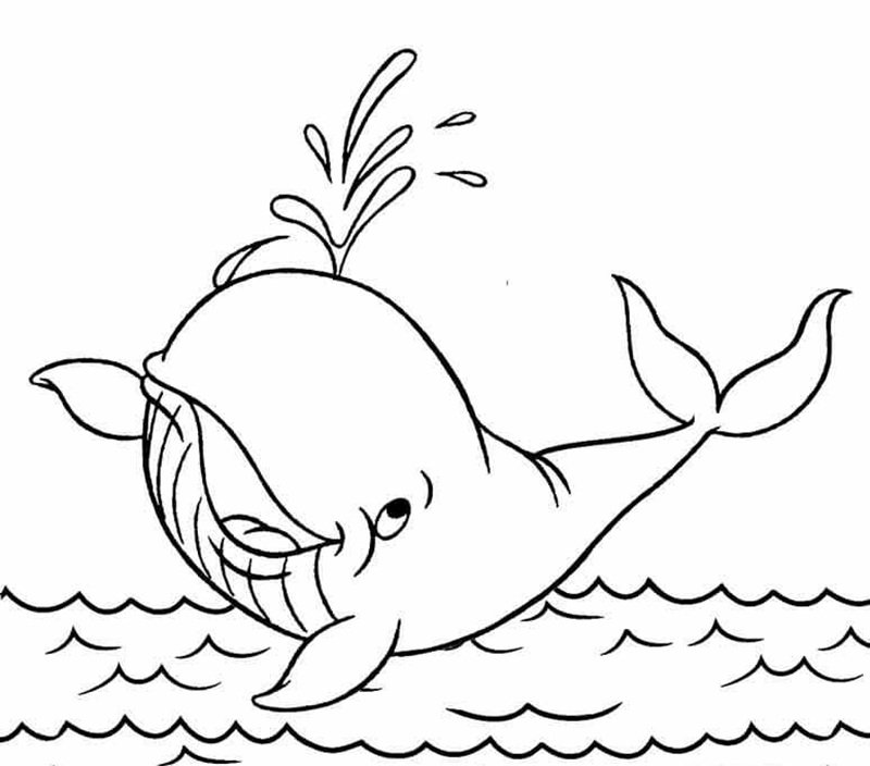 tô màu cá voi 25