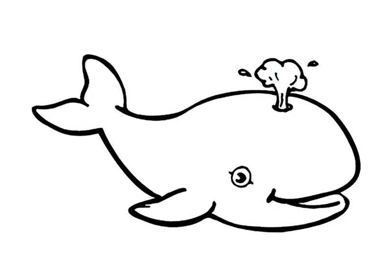tô màu cá voi 3