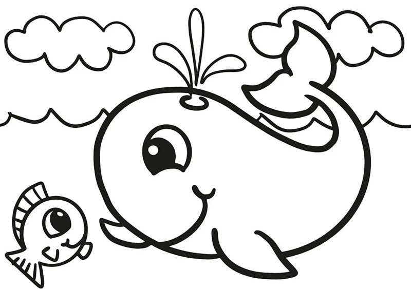tô màu cá voi 5