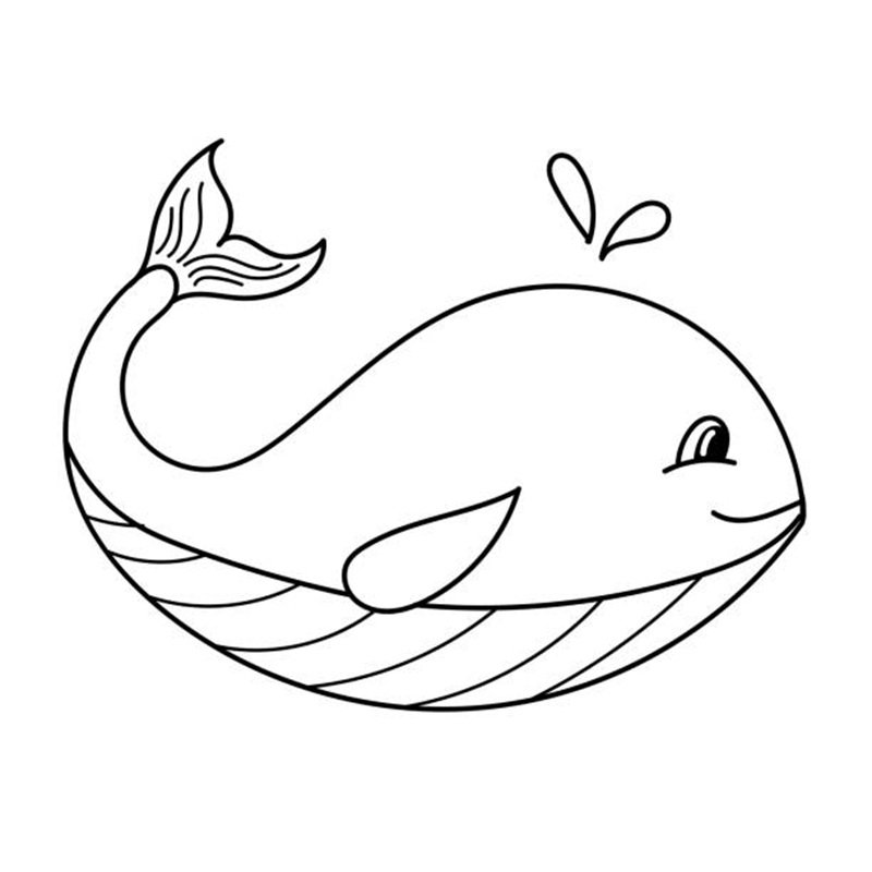 tô màu cá voi 8