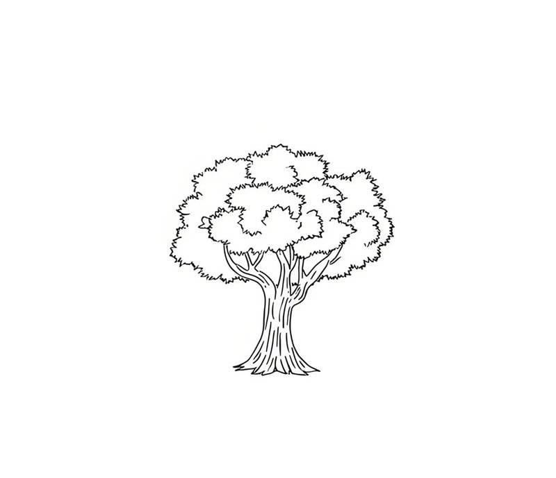 tô màu cái cây 13