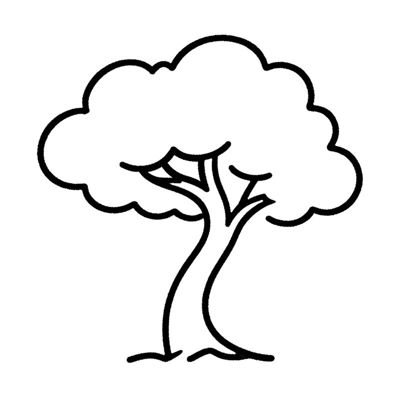 tô màu cái cây 16