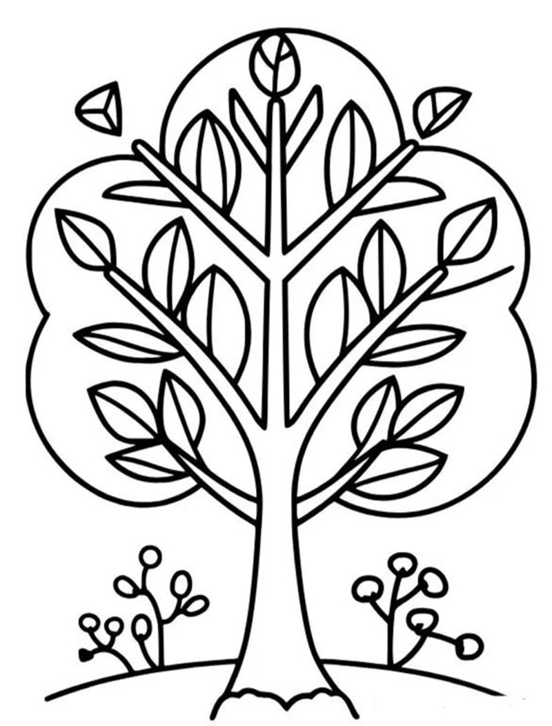 tô màu cái cây 20
