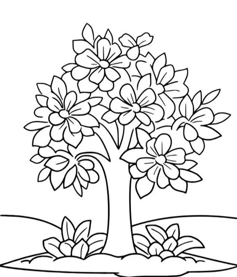 tô màu cái cây 21