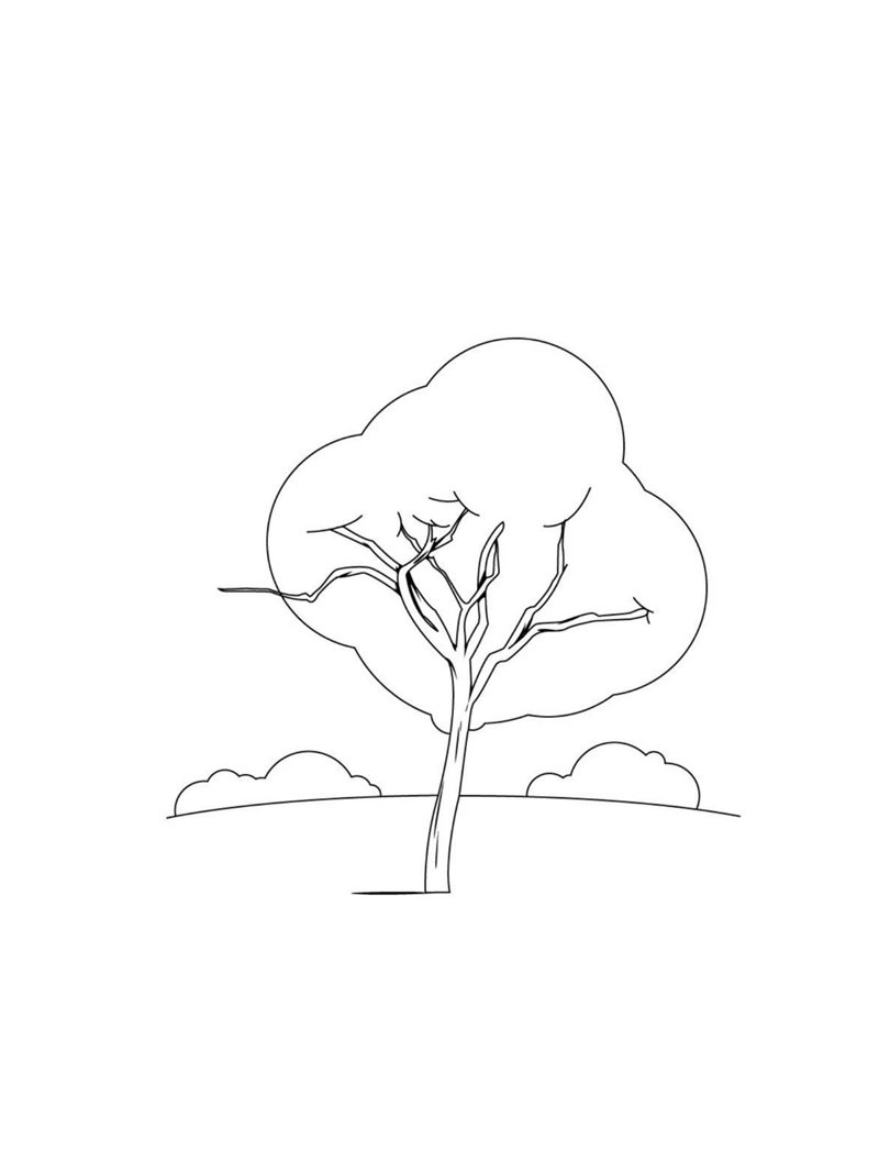 tô màu cái cây 3