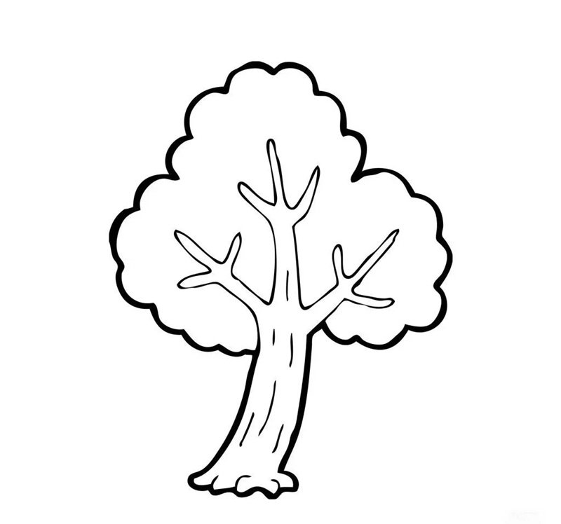 tô màu cái cây 38