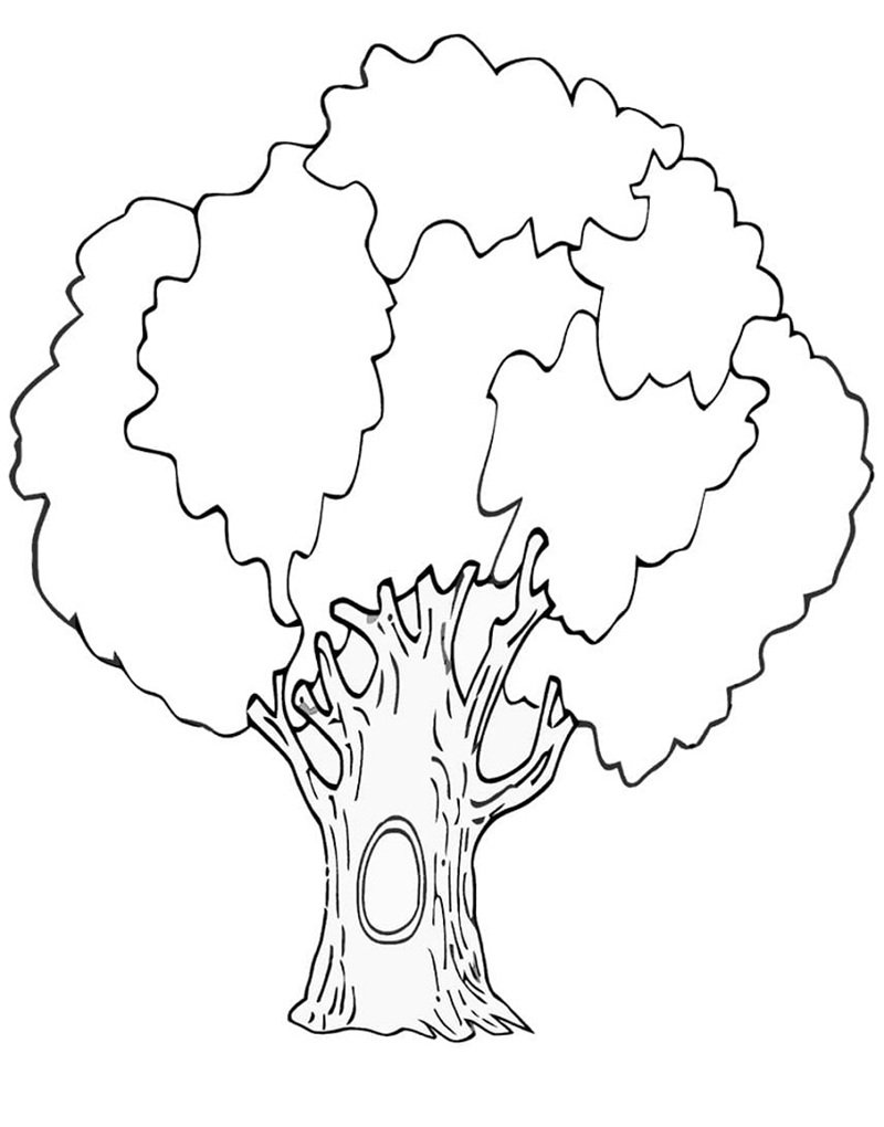 tô màu cái cây 5