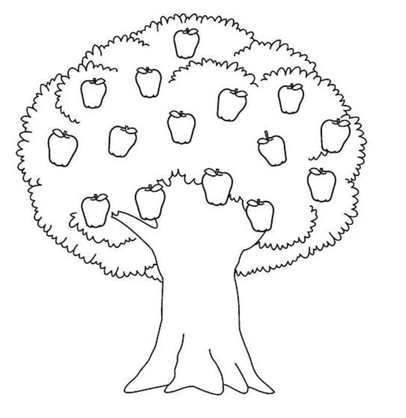 tô màu cái cây 6