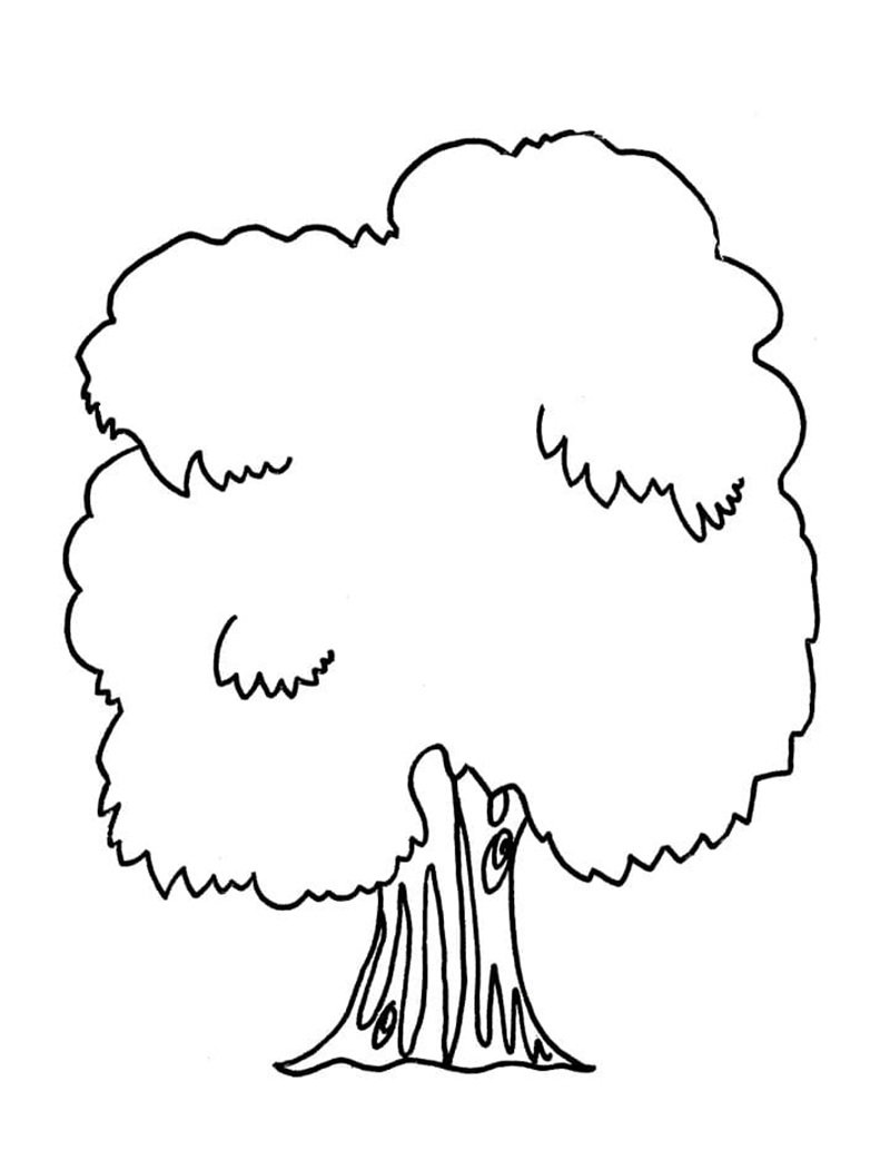 tô màu cái cây 7