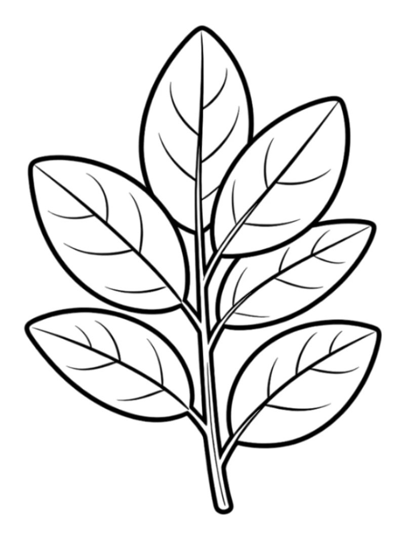 tô màu chiếc lá 11